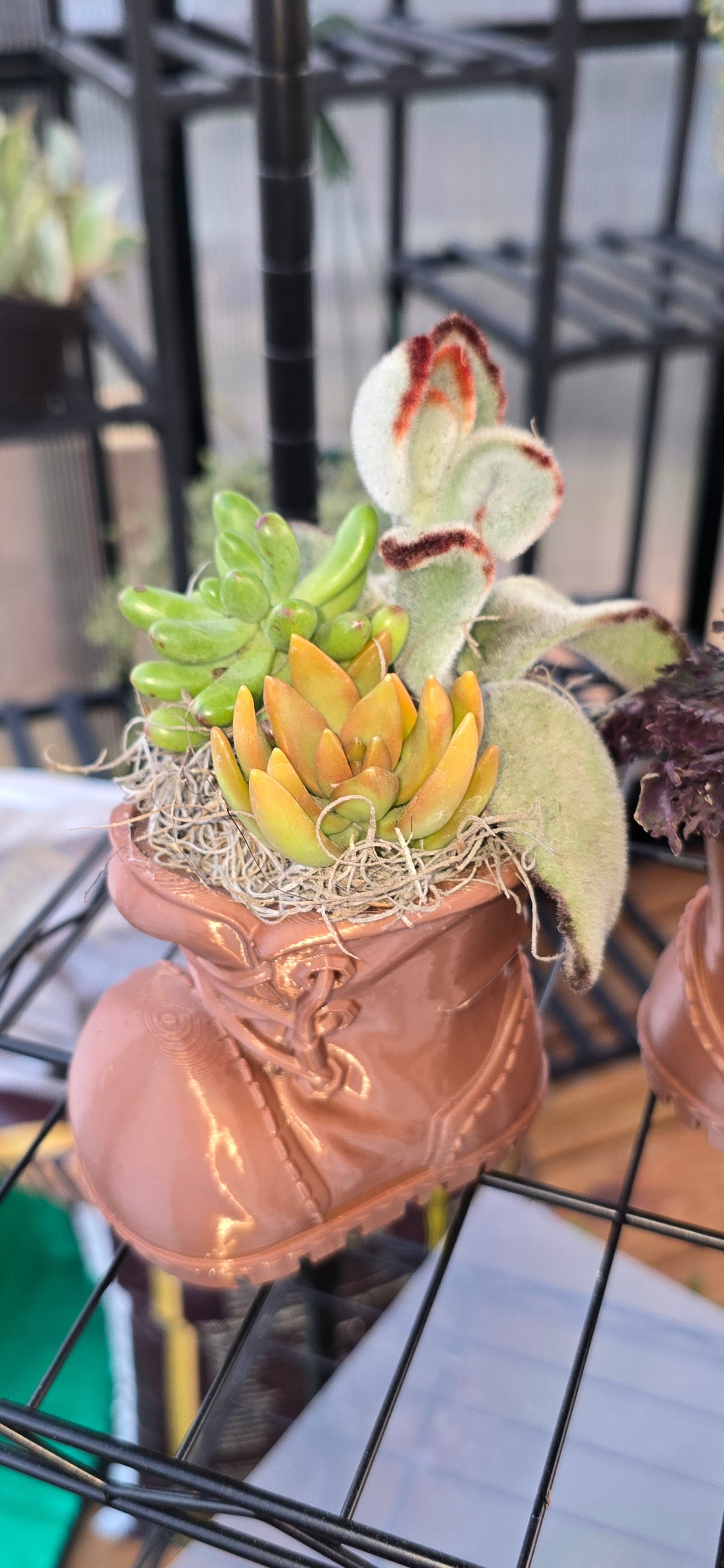 Boot planter – Heart and Soul Plant Nursery